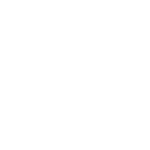Saigal Groups