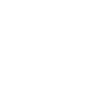 The Trendy Homes