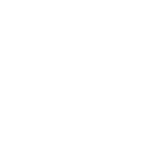Logo-150by150-Faizan Foods